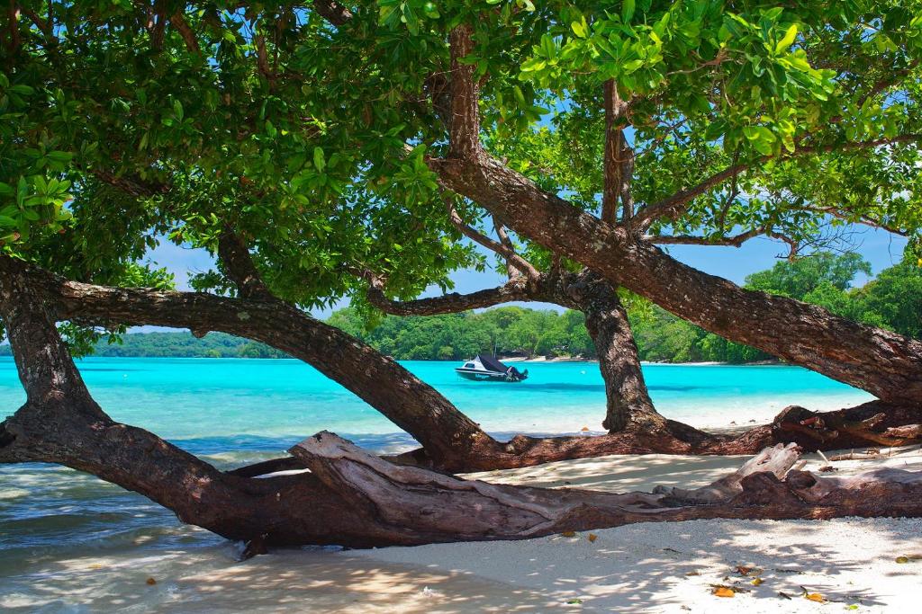 SWIM VANUATU WEEK 2 9TH - 15TH AUGUST 2027 - 1 SWIMMER AND 1 SUPPORTER DEPOSITS